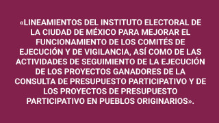leyenda_lineamientos_pp.jpg