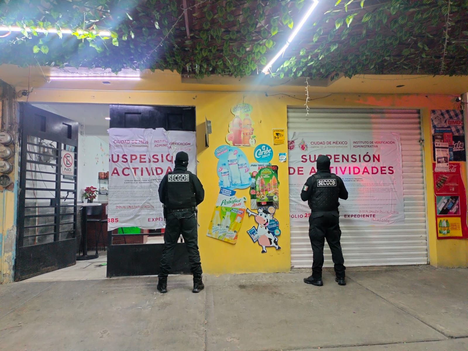 WhatsApp Image 2026-01-12 at 12.24.21 PM.jpeg